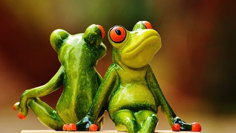 Couple navigating a household disagreement